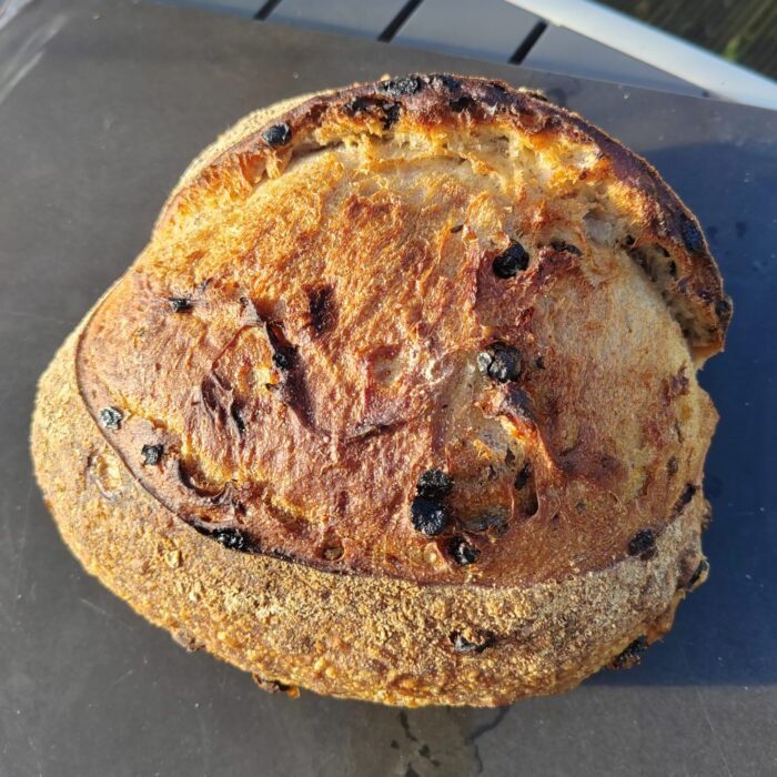 IMG_20251128_102548_edit_2430662982522563